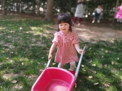 -蒙蒙狮蒙台梭利儿童之家