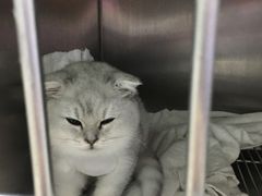 -美美宠物诊疗中心·异宠·骨科(滨江东信分院)