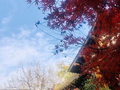 -中国茶叶博物馆(双峰馆区)