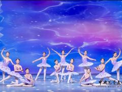 -中央芭蕾舞团·中芭艺蕾(酒仙桥明星校区)