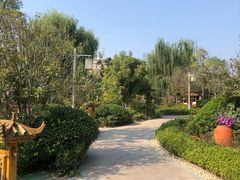 -郑州银基黄帝宫御温泉