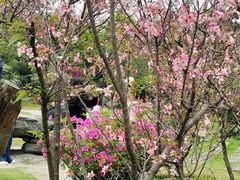 -东莞植物园