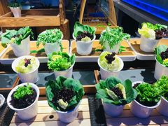 自助餐品种多样-乔哥铭洋海鲜自助(皇城恒隆广场店)