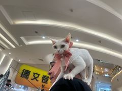 -金茂览秀城