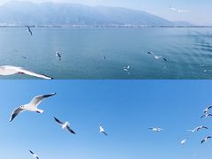 -大理洱海