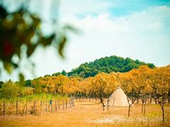 -郑和公园