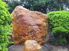 -火炉山森林公园