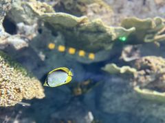 -福州罗源湾海洋世界旅游区