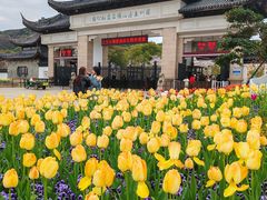 -苏州上方山国家森林公园