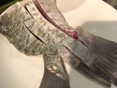 脆肉鲩鱼尾-正能量脆肉鲩火锅