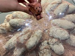 -天津自然博物馆