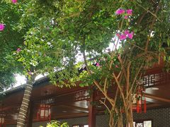 -生宇山珍野生菌汤锅•始于1999(双流古塔店)