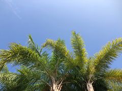 -厦门日月谷温泉渡假村