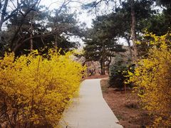 -北京西山国家森林公园