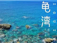 -广东惠东海龟国家级自然保护区