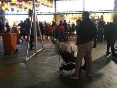-锦江乐园舞狸花花游园会(夜场专享)