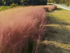 -东钱湖旅游度假区