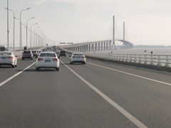-东平国家森林公园