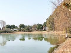 -上膳源有机农场