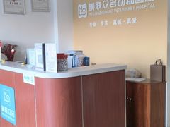 -美联众合动物医院·伴可分院·内科中心医院
