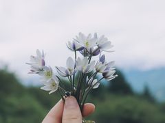 -硗碛藏寨·神木垒景区