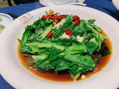 豆豉油麦菜-周家湾(淮扬菜学府路店)