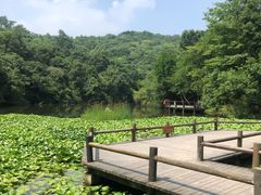 -天目湖山水园