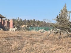 -鄂尔多斯野生动物园