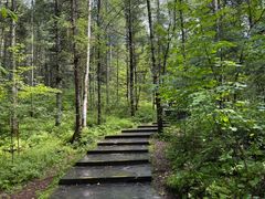 -汤旺河林海奇石景区
