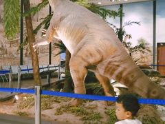 -湖南省地质博物馆