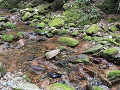-本溪汤沟绿石谷森林公园