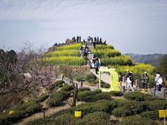 -石潭村