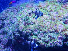 -成都浩海立方海洋公园