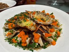 -沪碟·精菜坊(闵行店)