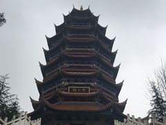 -铁山坪森林公园