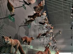 -中国湿地博物馆