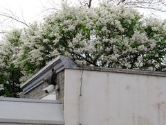 -北京鲁迅博物馆(北京新文化运动纪念馆鲁博馆区)