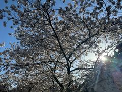 -苏州上方山国家森林公园