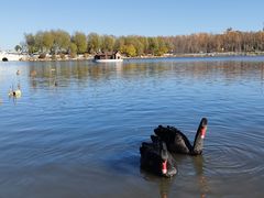 -长春市南湖公园