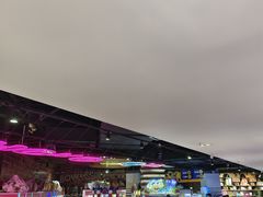 -大鲁阁保龄球(苏州园区店)