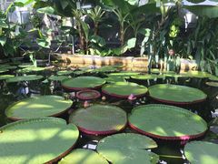 -国家植物园南园