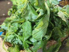 -小板凳(四公里店)