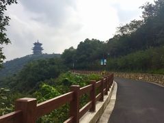 -杭州半山国家森林公园