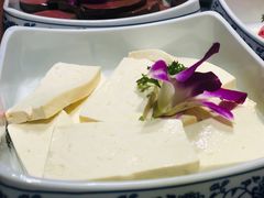 豆腐-来涮蜀鲜货火锅串串香(菜市口店)