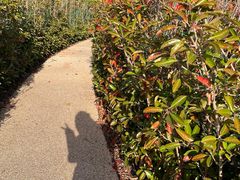 -昆山城市生态森林公园