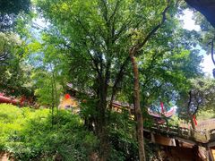 -超山青莲寺