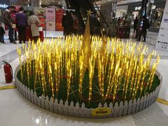 -星湖园餐厅(武汉大学信息学部店)