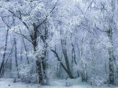 -中旅松花湖滑雪场