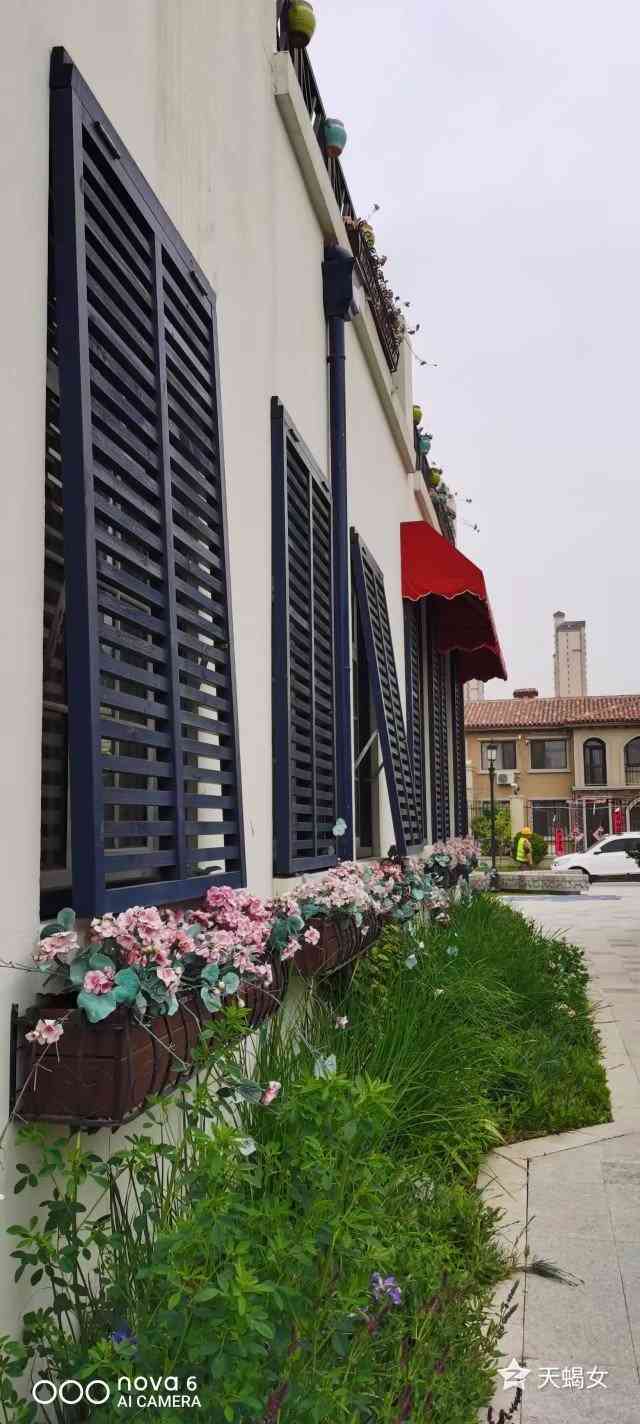 大连莫亚国际营地-"天很蓝云很白,营地硬件很棒,软件组织仍需.