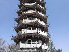 -黄椅山火山森林公园